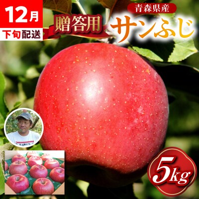 【12月下旬発送】贈答用 りんご 約 5kg サンふじ 青森県産 五所川原 【金賞受賞歴有!】