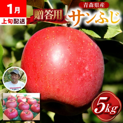 【1月上旬発送】贈答用 りんご 約 5kg サンふじ 青森県産 五所川原 【金賞受賞歴有!】