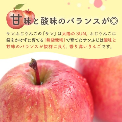 【1月下旬発送】贈答用 りんご 約 5kg サンふじ 青森県産 五所川原 【金賞受賞歴有!】