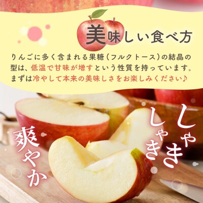 【2月下旬発送】贈答用 りんご 約 5kg サンふじ 青森県産 五所川原 【金賞受賞歴有!】