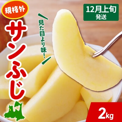 【2026年12月上旬発送】 りんご サンふじ 約 2kg 規格外 程度 青森 五所川原 不揃い 