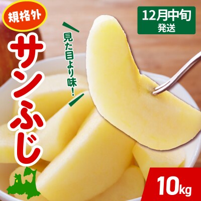 【2026年12月中旬発送】 りんご 約 10kg サンふじ 【規格外】 青森 五所川原