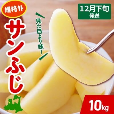 りんご【2025年12月下旬発送】 サンふじ 青森 規格外 りんご 約 10kg 程度 五所川原 