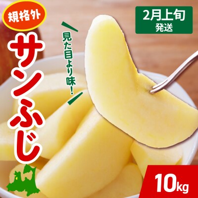 【2027年2月上旬発送】 りんご 約 10kg サンふじ 【規格外】 青森 五所川原