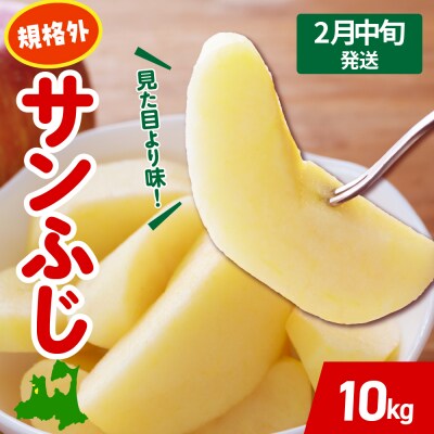 【2027年2月中旬発送】 りんご 約 10kg サンふじ 【規格外】 青森 五所川原