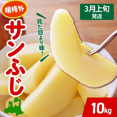りんご【2026年3月上旬発送】 サンふじ 青森 規格外 りんご 約 10kg 程度 五所川原 