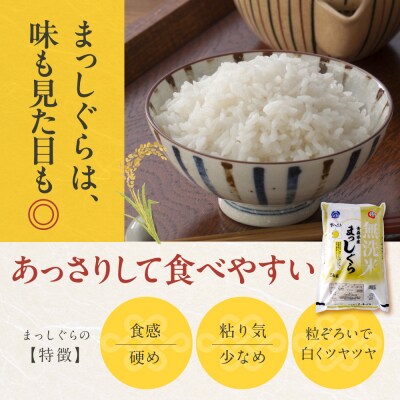 【2月後半発送】 令和7年産 無洗米 5kg まっしぐら 5キロ 青森県産
