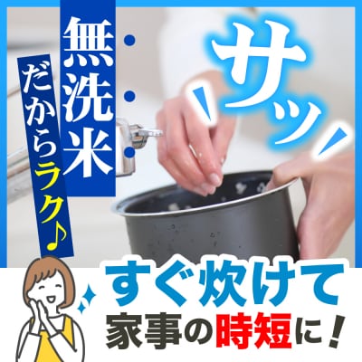 【1月前半発送】 令和7年産 無洗米 5kg はれわたり 新米 5キロ 青森県産 特A受賞歴