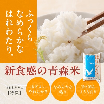 【5月前半発送】 令和7年産 無洗米 5kg はれわたり 新米 5キロ 青森県産 特A受賞歴