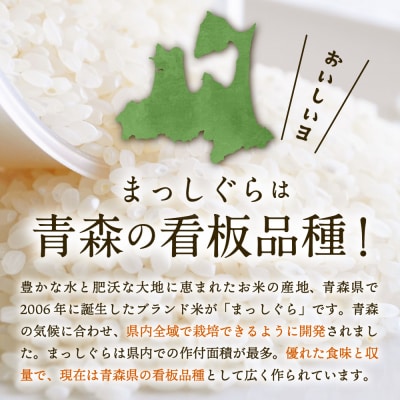 【2月発送】無洗米 10kg 青森県産 まっしぐら 令和7年産米(精米)