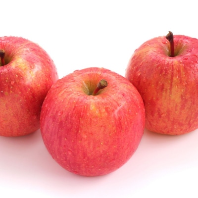 【2026年1月下旬発送】【特選】りんご 約3kg サンふじ 青森 五所川原