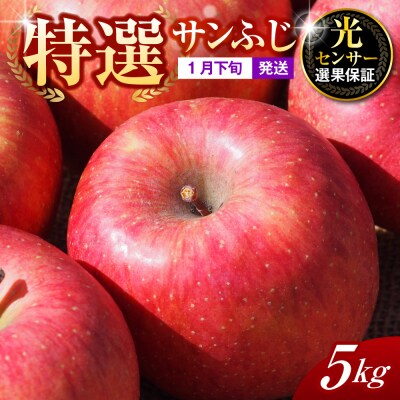 【2026年1月下旬発送】【特選】りんご 約5kg サンふじ 青森 五所川原