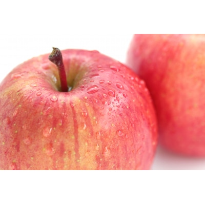 【2026年1月下旬】 たちねぷたりんご 約10kg 【青森県産】 葉取らず サンふじ りんご