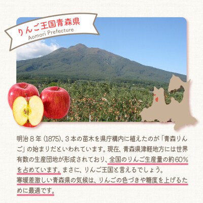 【2026年1月下旬】 たちねぷたりんご 約10kg 【青森県産】 葉取らず サンふじ りんご