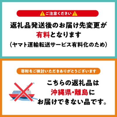 【2026年1月下旬】 たちねぷたりんご 約10kg 【青森県産】 葉取らず サンふじ りんご
