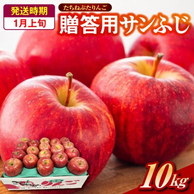 サンふじ 贈答規格 約10kg 【2026年1月上旬発送】「たちねぷたりんご」 青森県 五所川原市