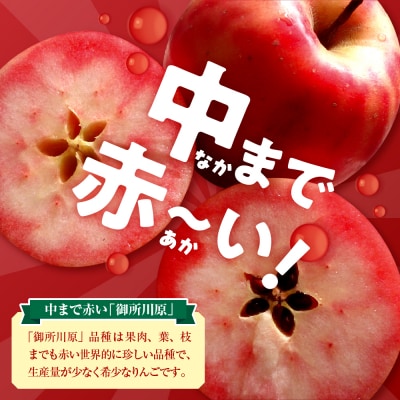中まで赤～いりんごジュース1L×2本・こぎん刺しコースター2枚 セット