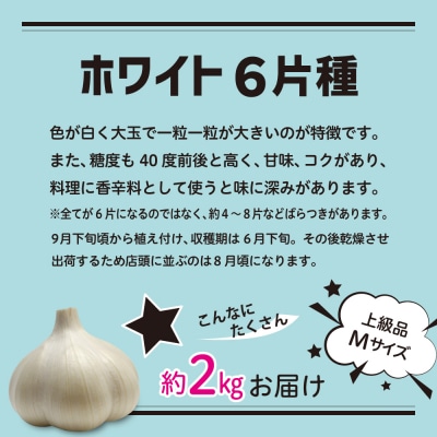 青森県産にんにく ホワイト六片 【上級品】 Mサイズ 2kg | ニンニク 大蒜 青森県 五所川原市