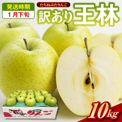 �y2026�N1�����{�z���с@�� 10kg  �󂠂��� �����˂Ղ���� �X�� �܏��쌴�s