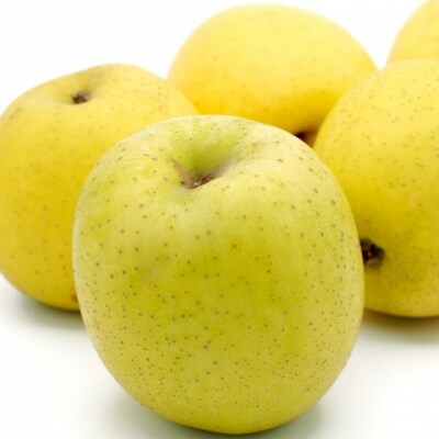 【2026年1月下旬】王林　約 10kg  訳ありりんご たちねぷたりんご 青森県 五所川原市