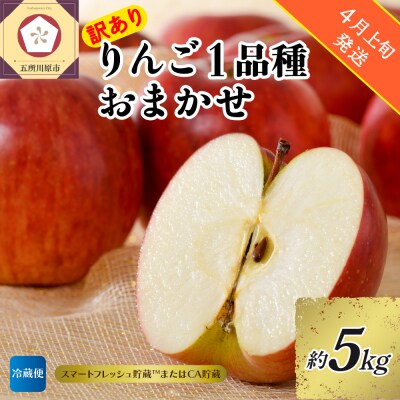 【2026年4月上旬発送】【訳あり】りんご約5kg 青森産【おまかせ1品種】スマフレTM・CA