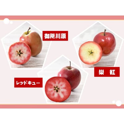 りんごチップス 25g×2袋 ノンフライ 《Akarin5チップス》 中まで赤～いりんご 低温乾燥