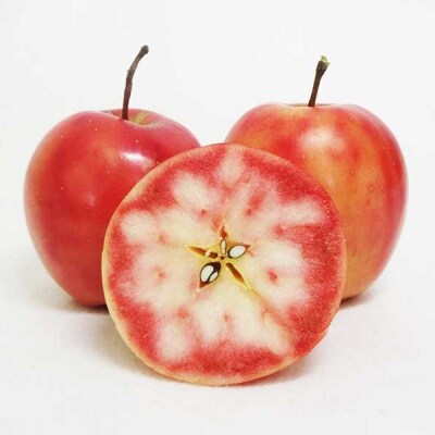 アップルティー Akarin5Tea 1袋(5包) ノンカフェイン りんごだけで作ったお茶