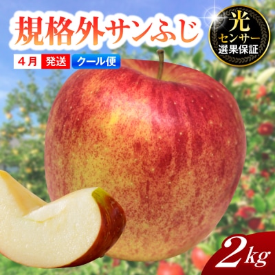 【2026年4月上旬発送】【規格外】りんごサンふじ【クール便】約2kg