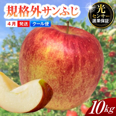 【2026年4月上旬発送】【規格外】りんごサンふじ【クール便】約10kg