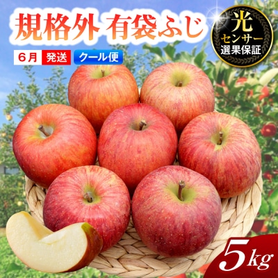 【2026年6月上旬発送】【規格外】 りんご 有袋ふじ 【クール便】 約5kg