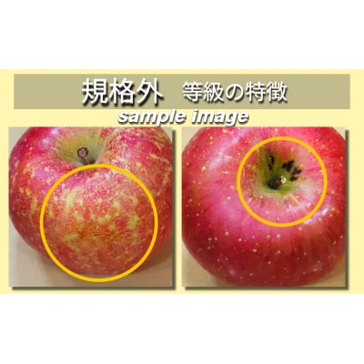 【2026年7月上旬発送】【規格外】 りんご 有袋ふじ 【クール便】 約5kg