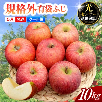 【2026年5月上旬発送】【規格外】 りんご 有袋ふじ 【クール便】 約10kg