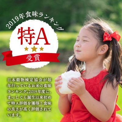 【4月発送】無洗米 10kg 青森県産 まっしぐら 令和7年産 (精米)