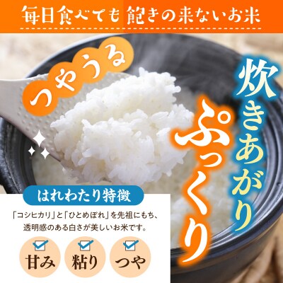 【令和7年産】青森県産「はれわたり」精米 5kg 【特A】五所川原市