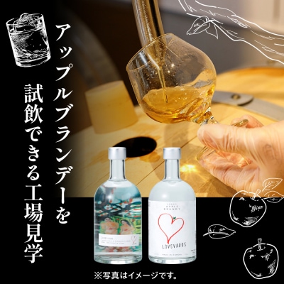 アップルブランデー醸造所見学 1名 モホドリ蒸溜研究所 青森県 五所川原市