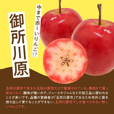 ジャム 中まで赤～いりんごジャム 100g × 3瓶