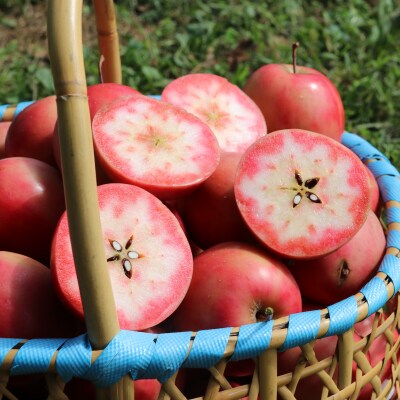 御所川原 りんごジュース (1L×3本) / 果汁100% 果肉まで赤～いりんご「御所川原」使用