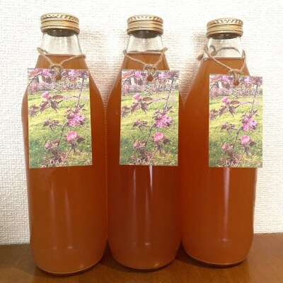 御所川原 りんごジュース (1L×6本) / 果汁100% 果肉まで赤～いりんご「御所川原」使用