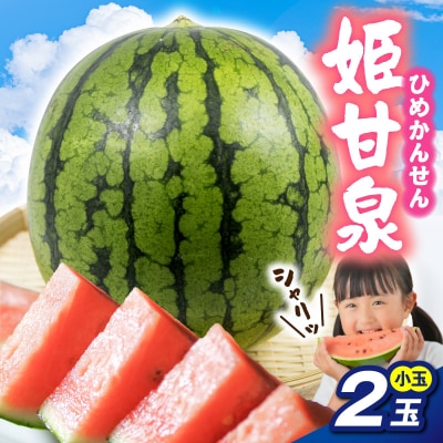 【先行受付】 小玉スイカ 姫甘泉 2玉 【7月下旬以降順次発送】 青森県 五所川原市 すいか 西瓜