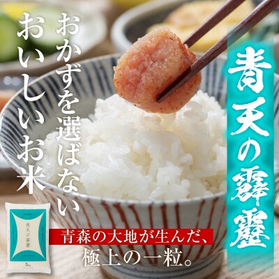 【令和7年産】 青森県産 青天の霹靂 5kg (精米) 五所川原市