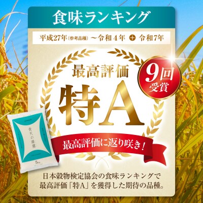 【令和7年産】 青森県産 青天の霹靂 5kg (精米) 五所川原市
