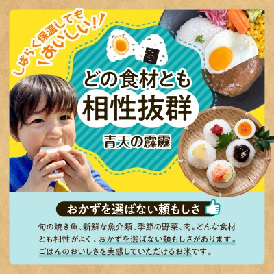 【令和7年産】 青森県産 青天の霹靂 5kg (精米) 五所川原市