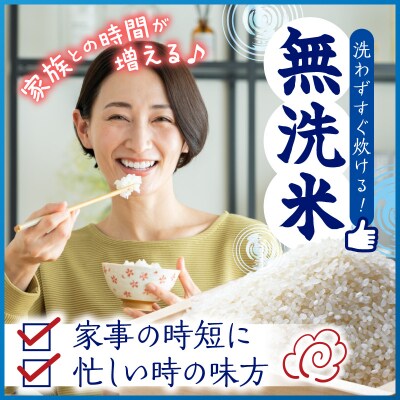 【令和7年産】無洗米 はれわたり 5kg 青森県産 五所川原市
