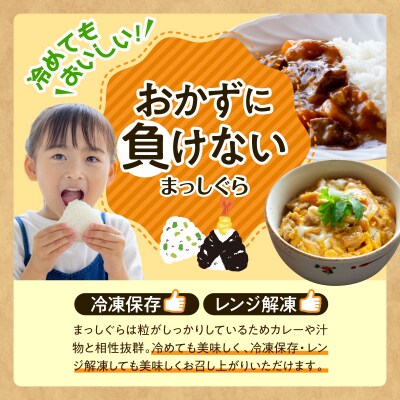 【令和7年産】無洗米 まっしぐら 5kg 青森県産 五所川原市