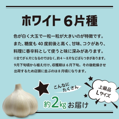 【8月上旬より順次発送】青森県産にんにく ホワイト六片 【上級品】 Lサイズ 2kg