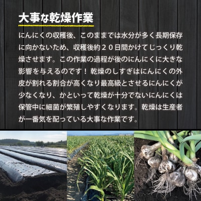 【8月上旬より順次発送】青森県産にんにく ホワイト六片 【上級品】 Lサイズ 2kg