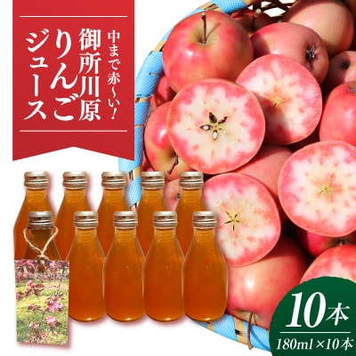 御所川原 りんごジュース (180ml×10本) 果汁100% 果肉まで赤～い りんご 青森