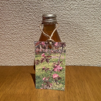 御所川原 りんごジュース (180ml×10本) 果汁100% 果肉まで赤～い りんご 青森