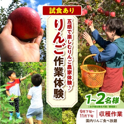 りんご収穫体験 (9月下旬～11月下旬)大人2人まで 体験型 りんご 青森県五所川原市