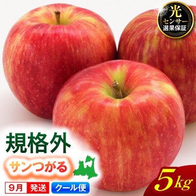 【2026年9月発送】【規格外】りんご 5kg サンつがる【クール便】 青森県産